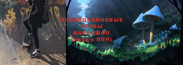 молекула духа Заполярный
