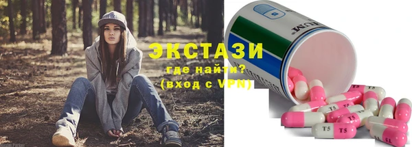 дмт Богданович