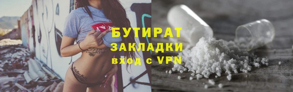 дмт Богданович