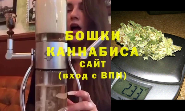молекула духа Бронницы