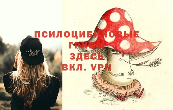 молекула духа Бронницы