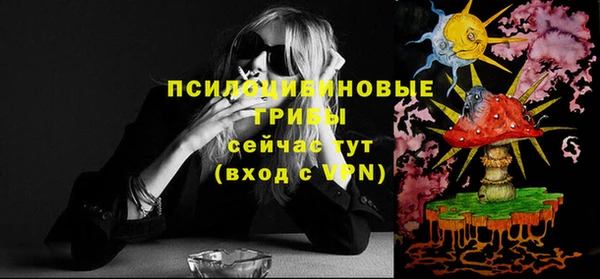СК Богородицк