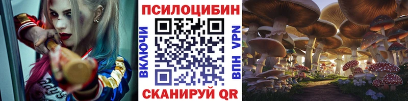 Псилоцибиновые грибы Psilocybine cubensis  кракен зеркало  Миньяр  как найти закладки 